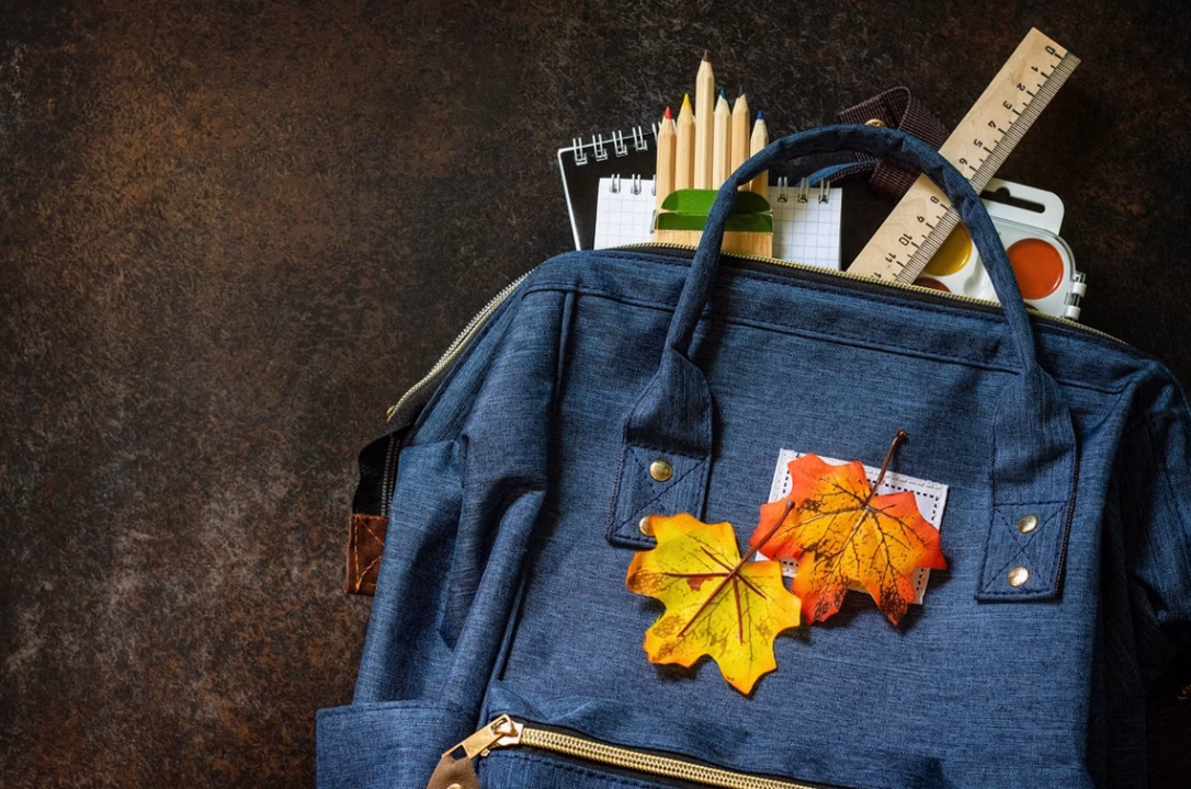 Postuler dans un établissement scolaire ou universitaire